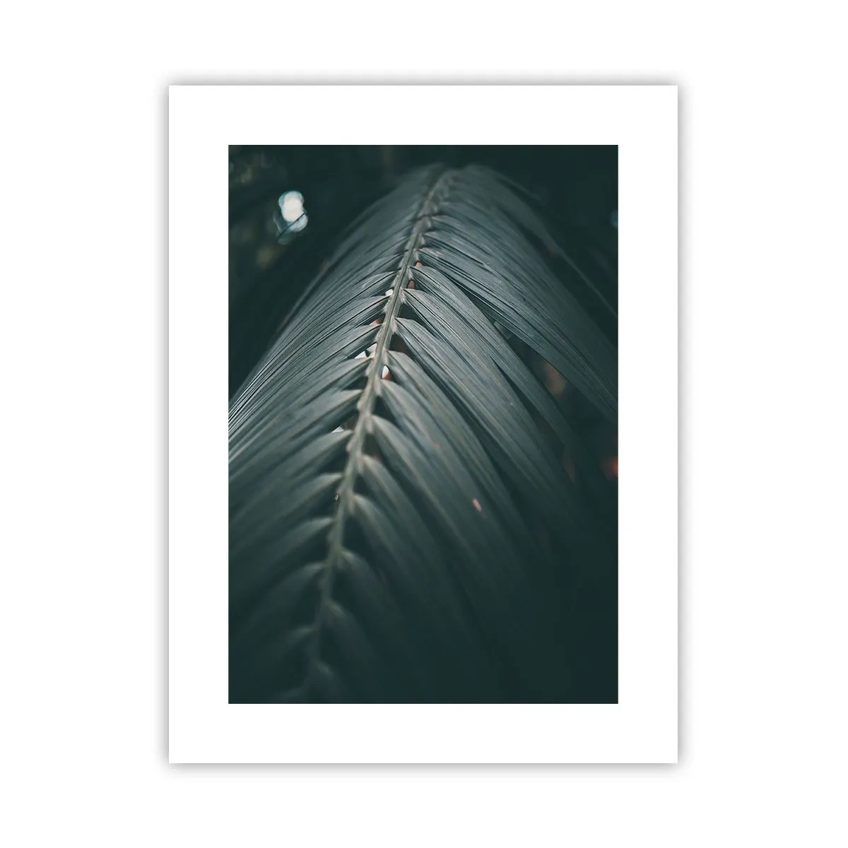 Poster - La precisione della natura - 30x40 cm