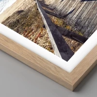 Rovere chiaro