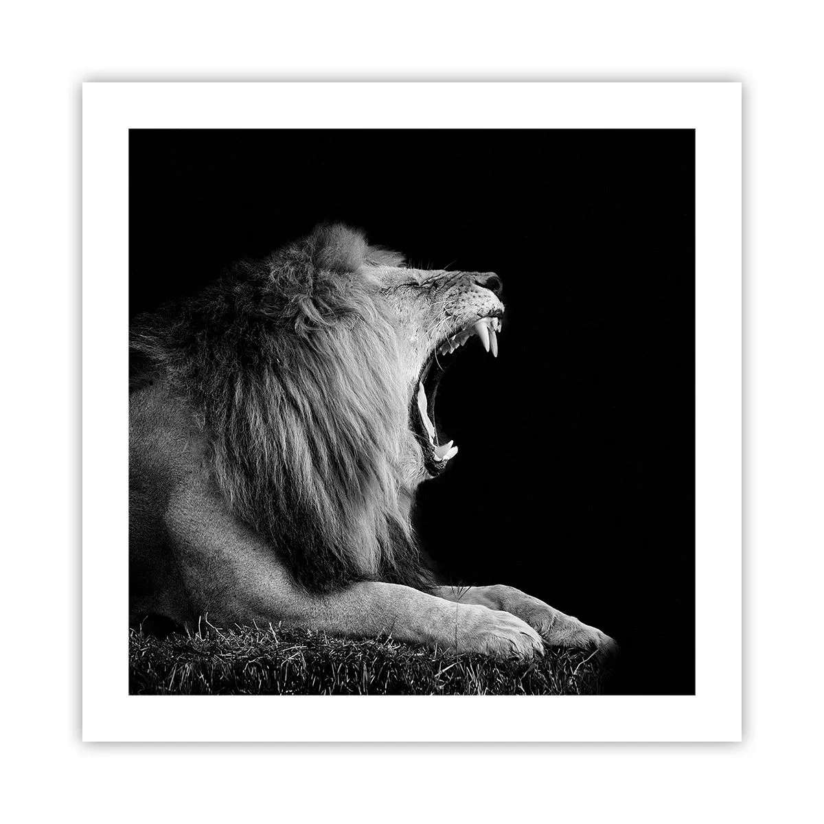 Poster - Senza alcun dubbio - 50x50 cm