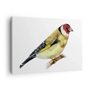 Quadro su tela - Stampe su Tela - Un uccello con la testa rossa su un ramo - 70x50cm - Ritratto di uccello - Decorazione murale moderna per soggiorno e camera da letto ARTTOR