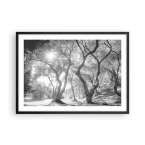 Poster in cornice nera - Vista in bianco e nero degli alberi in un uliveto con raggi di sole - 70x50cm - Nell'orto degli ulivi - Decorazione murale moderna per soggiorno e camera da letto ARTTOR