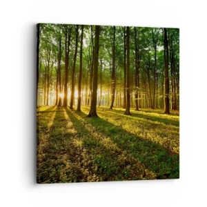 Quadro su tela - Stampe su Tela - La foto di ogni primavera - 30x30 cm