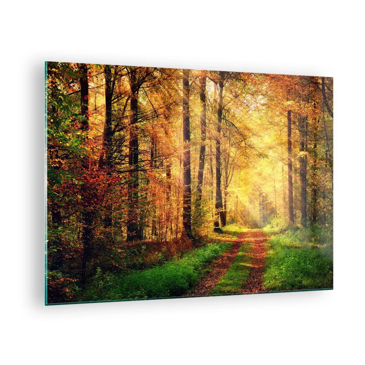 Quadro su vetro - Sentiero autunnale nel bosco con raggi di sole - 70x50cm - Il silenzio d'oro del bosco - Decorazione murale moderna per soggiorno e camera da letto ARTTOR