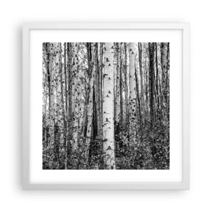 Poster in cornice bianca - Colonnato di betulle - 40x40 cm
