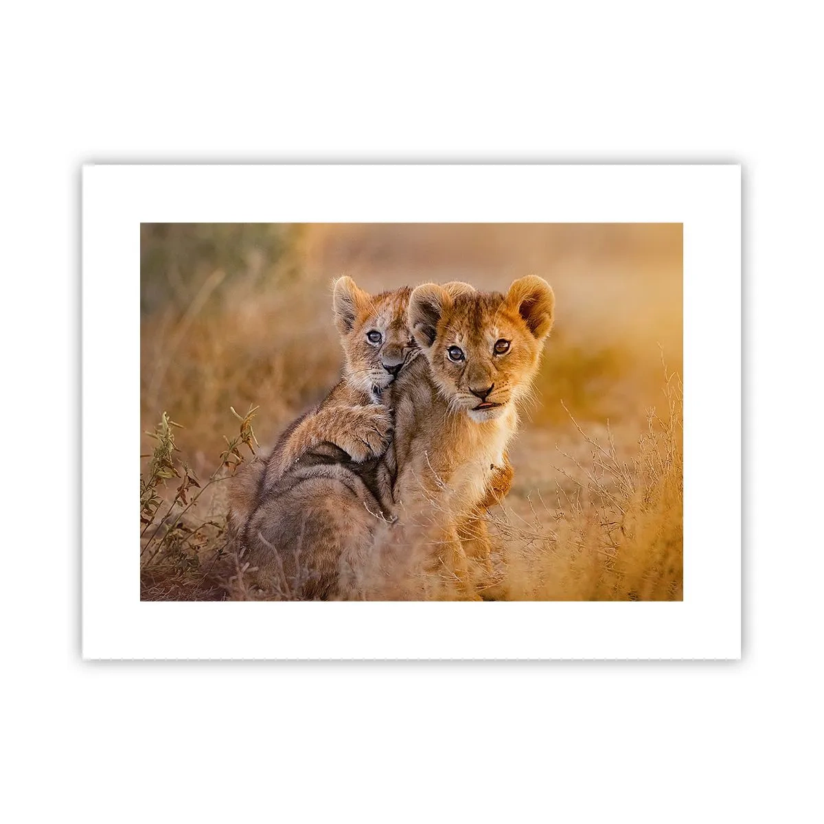 Poster - Non disturbare! Giochiamo - 40x30 cm