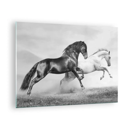 Quadro su vetro - Cavalli bianchi e neri in un ambiente dinamico - 70x50cm - Angeli e demoni - Decorazione murale moderna per soggiorno e camera da letto ARTTOR
