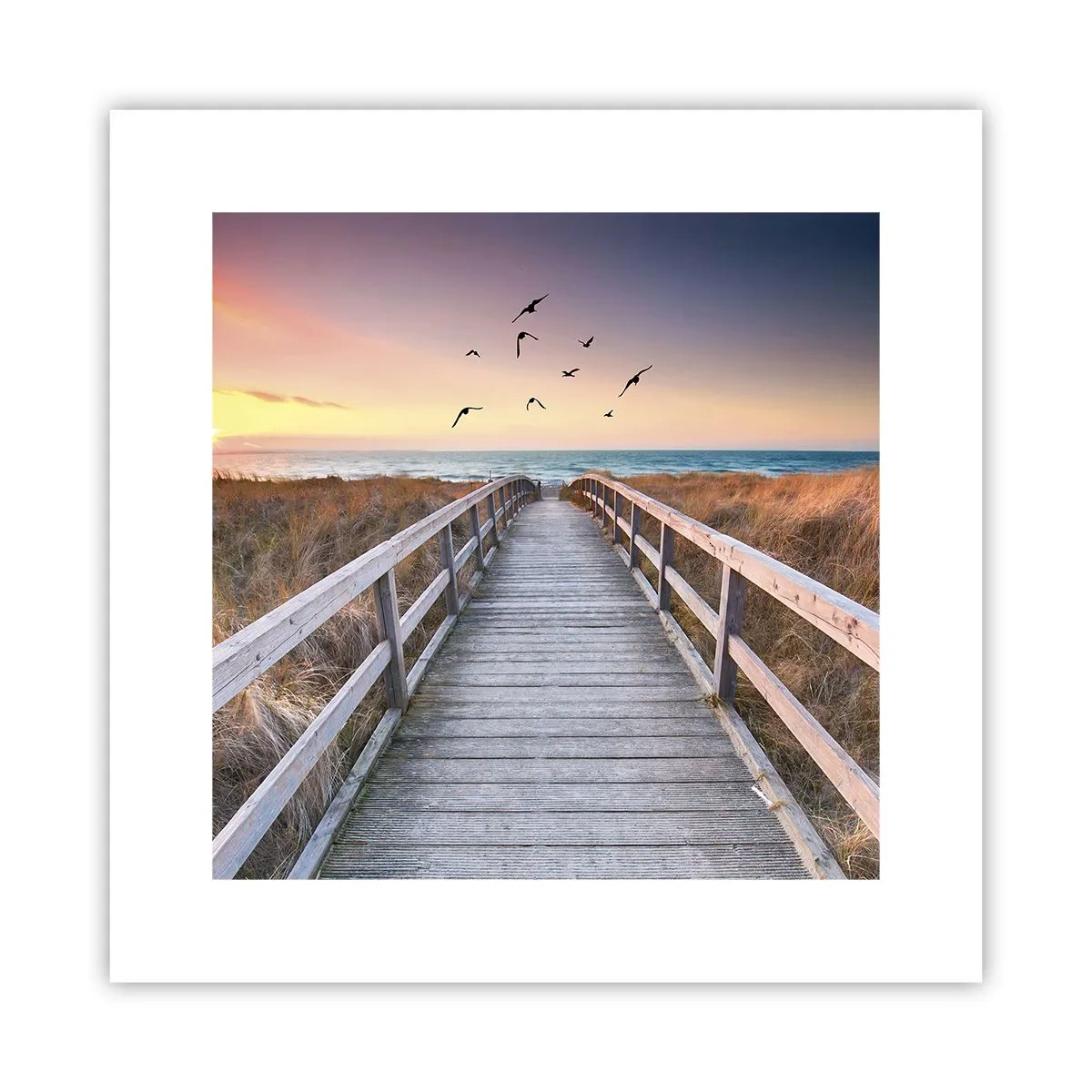 Poster - Spazio per volare - 30x30 cm