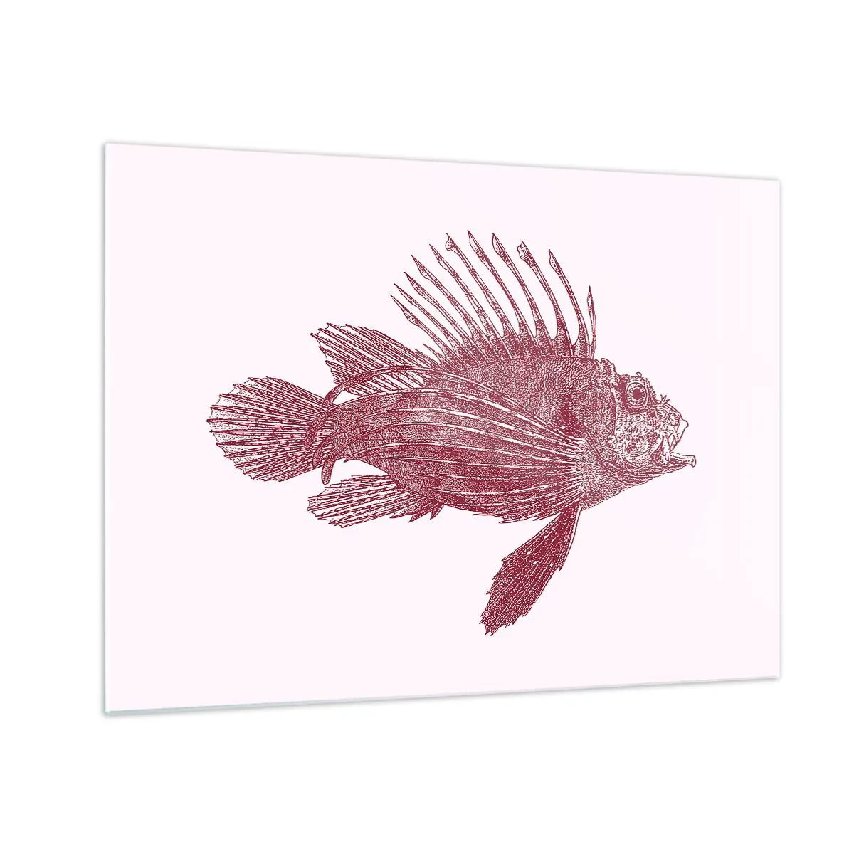 Quadro su vetro - Schizzo di un pesce esotico in colore bordeaux su uno sfondo chiaro - 70x50cm - Abitante di mari esotici - Decorazione murale moderna per soggiorno e camera da letto ARTTOR