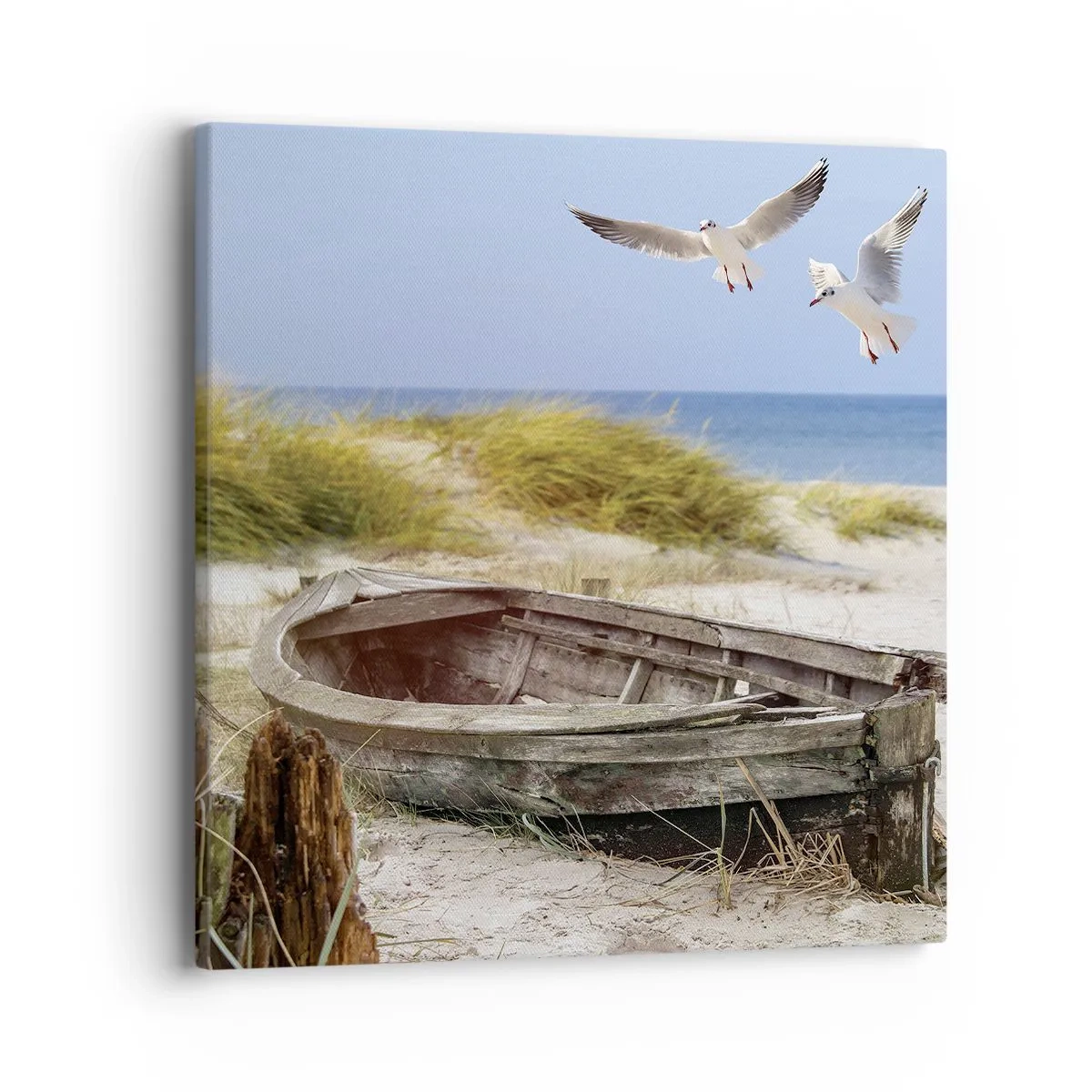 Quadro su tela - Stampe su Tela - Bagnate dal vento - 40x40 cm