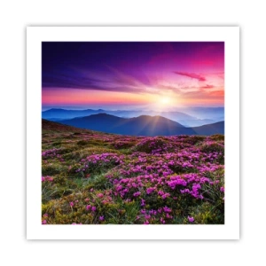 Poster - Il profumo dei fiori freschi del campo - 50x50 cm