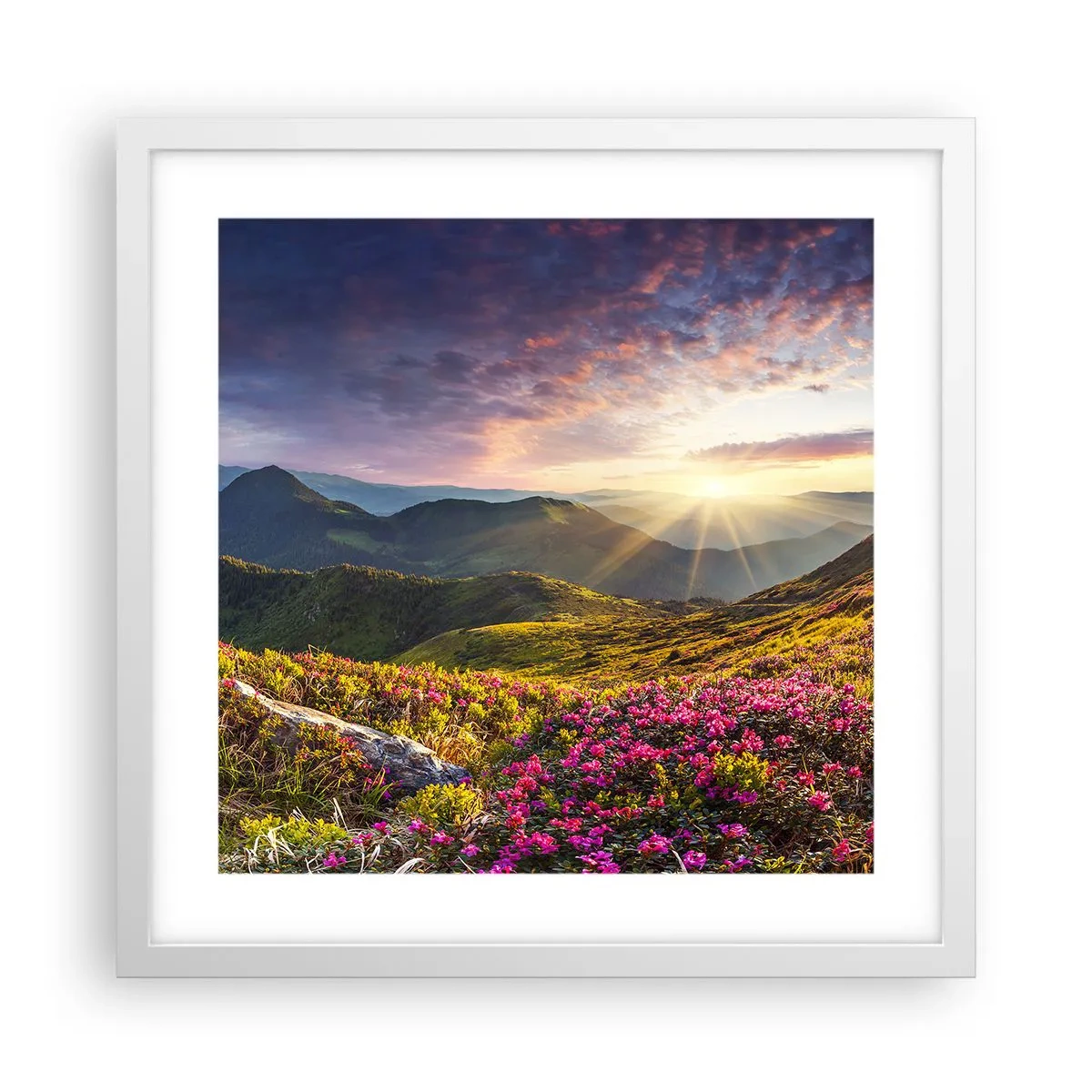 Poster in cornice bianca - La freschezza di un mattino sui monti - 40x40 cm
