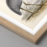 Rovere chiaro