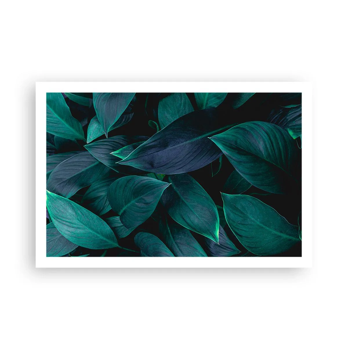 Poster - Il verde puro - 91x61 cm