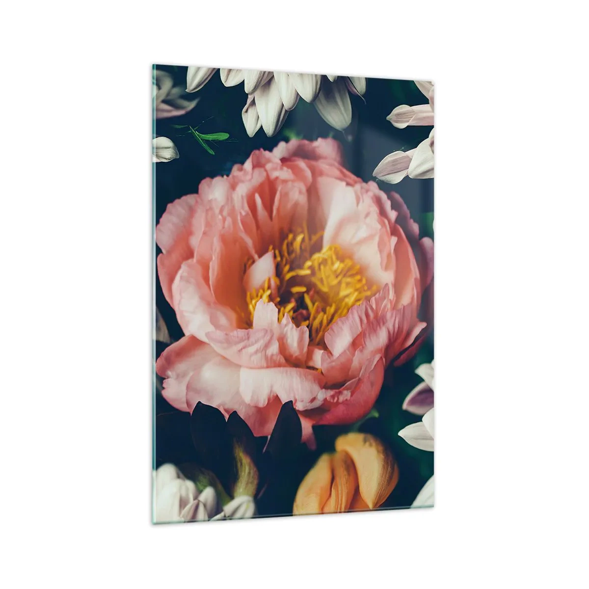 Quadro su vetro - Composizione floreale con peonia e crisantemi su sfondo scuro - 70x100cm - Con fasto barocco - Decorazione murale moderna per soggiorno e camera da letto ARTTOR