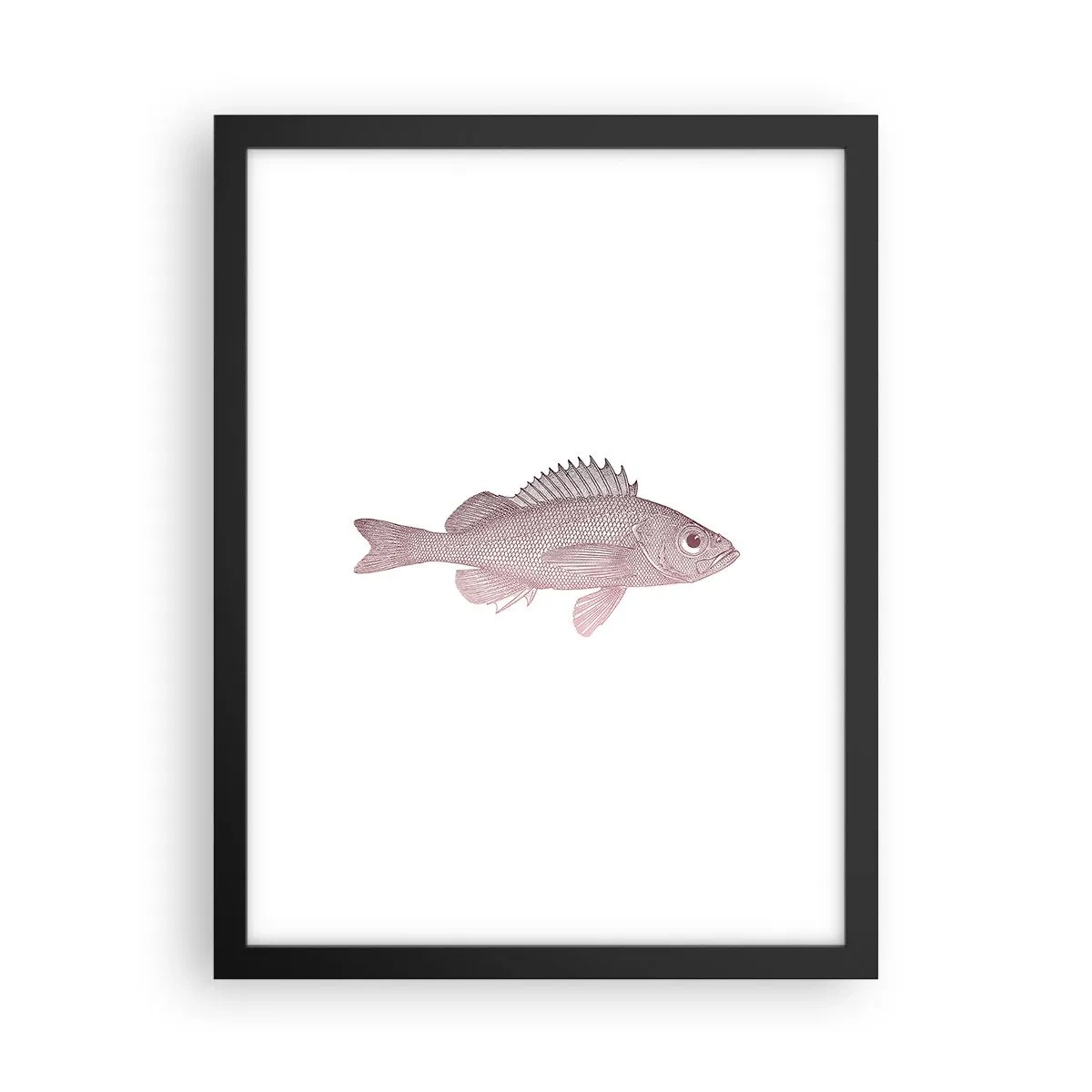 Poster in cornice nera - Il pesce dagli occhi enormi - 30x40 cm