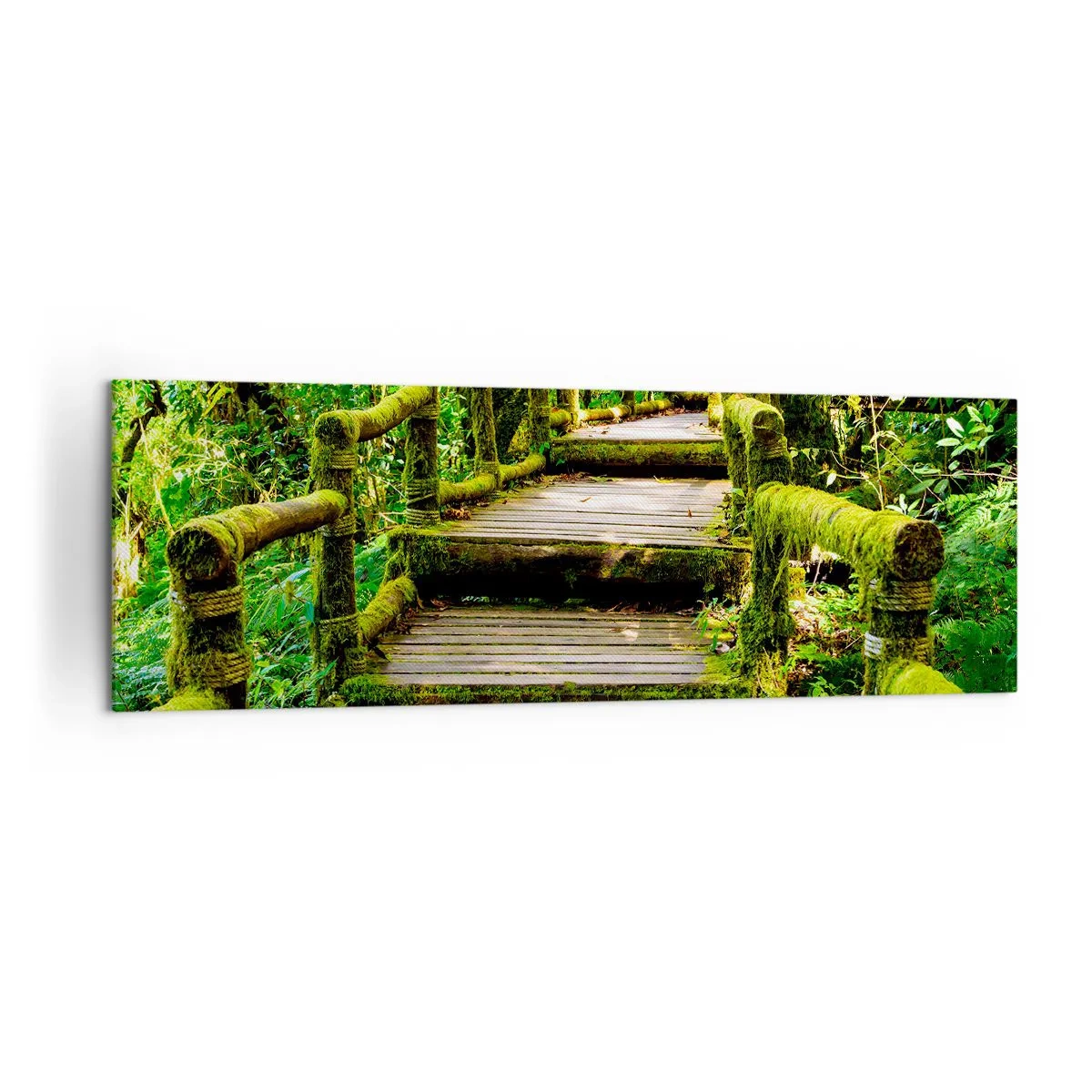 Quadro su tela - Stampe su Tela - Un ponte di legno ricoperto di muschio in una foresta pluviale tropicale - 160x50cm - Un corridoio nel verde - Decorazione murale moderna per soggiorno e camera da letto ARTTOR