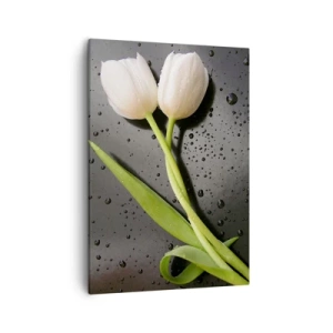 Quadro su tela - Stampe su Tela - Tulipani bianchi su sfondo nero con gocce d'acqua - 50x70cm - Intreccio primaverile - Decorazione murale moderna per soggiorno e camera da letto ARTTOR
