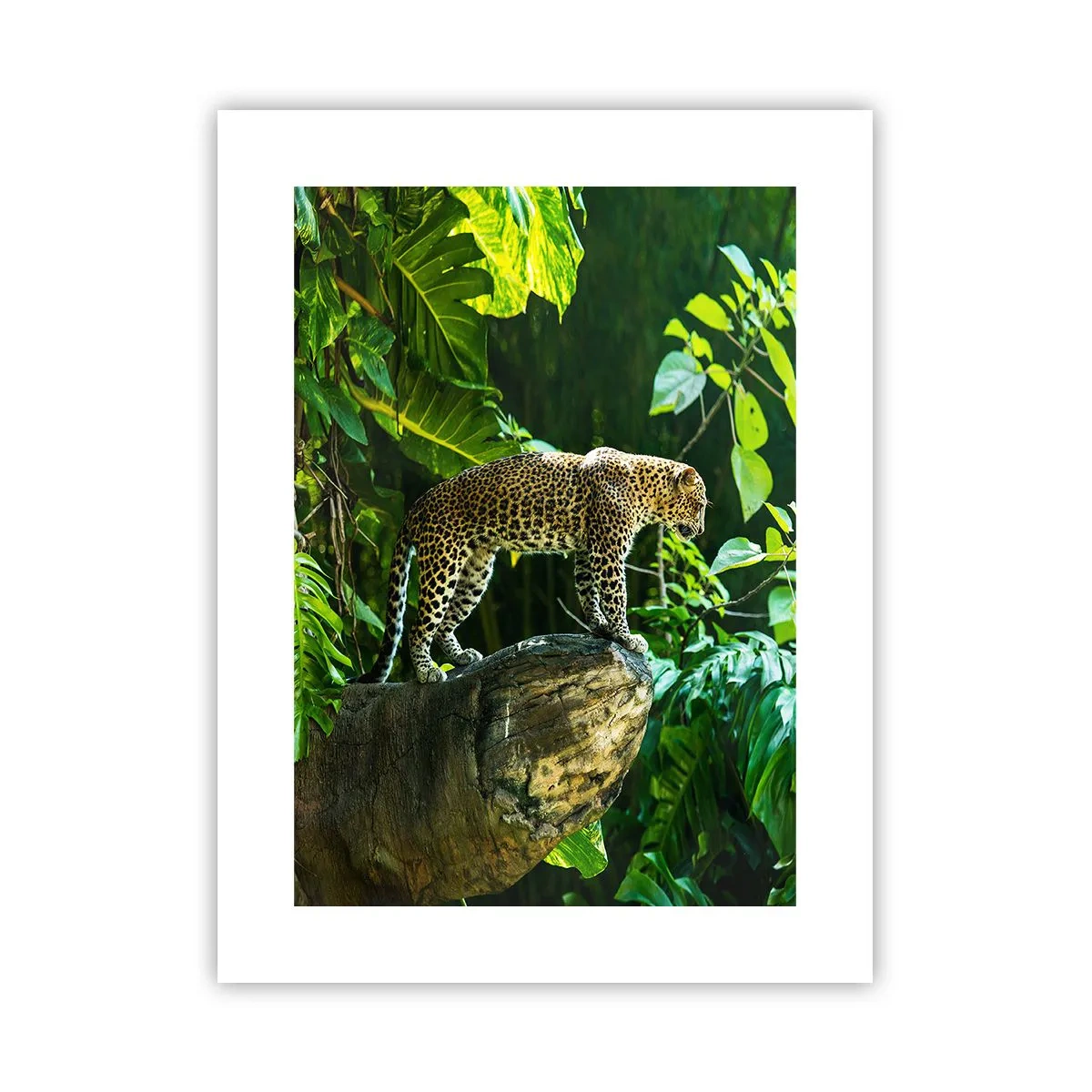 Poster - A caccia? - 30x40 cm