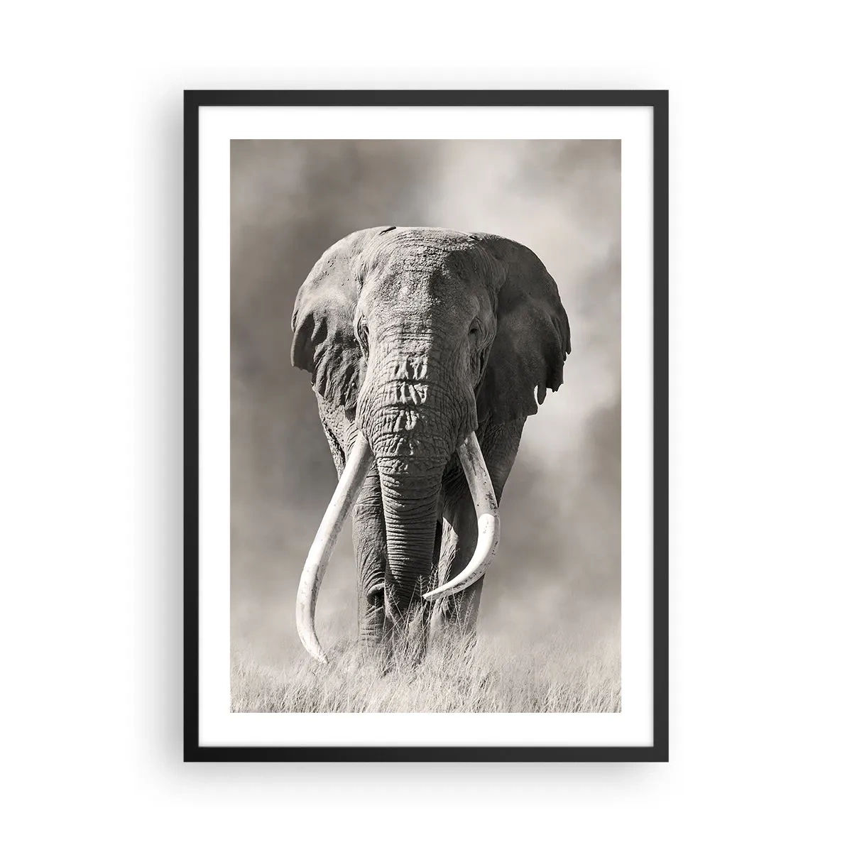 Poster in cornice nera - Ritratto monocromatico di un maestoso elefante - 50x70cm - Patriarca africano - Decorazione murale moderna per soggiorno e camera da letto ARTTOR