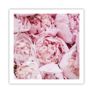 Poster - Morbide e profumate - 60x60 cm