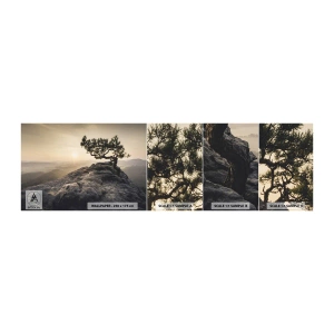 Campione di Fotomurale Adesivo Deluxe Sticker - La vita vince sempre - Paesaggio montano, Pino, Montagne - 100x30 cm