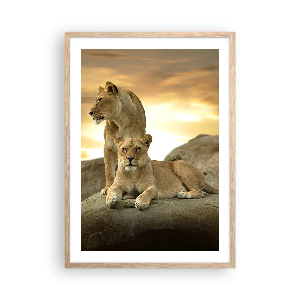 Poster in cornice rovere chiaro - Maestà reale - 50x70 cm