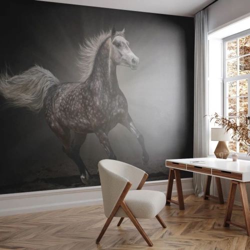 Fotomurali Autoadesivo Deluxe Sticker - Grigio è bello - Animali, Cavallo arabo, Natura - 200x140 cm