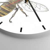 Quadrante con trattini