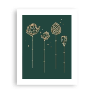 Poster - La famiglia delle erbe - 40x50 cm