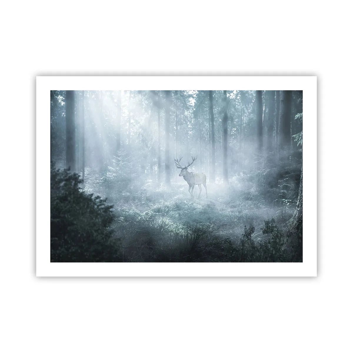 Poster - Passeggiata mattutina sulle sue terre - 70x50 cm