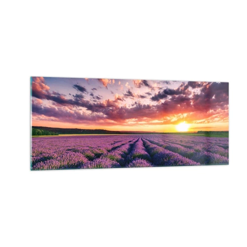 Quadro su vetro - Il mondo della lavanda - 100x40 cm