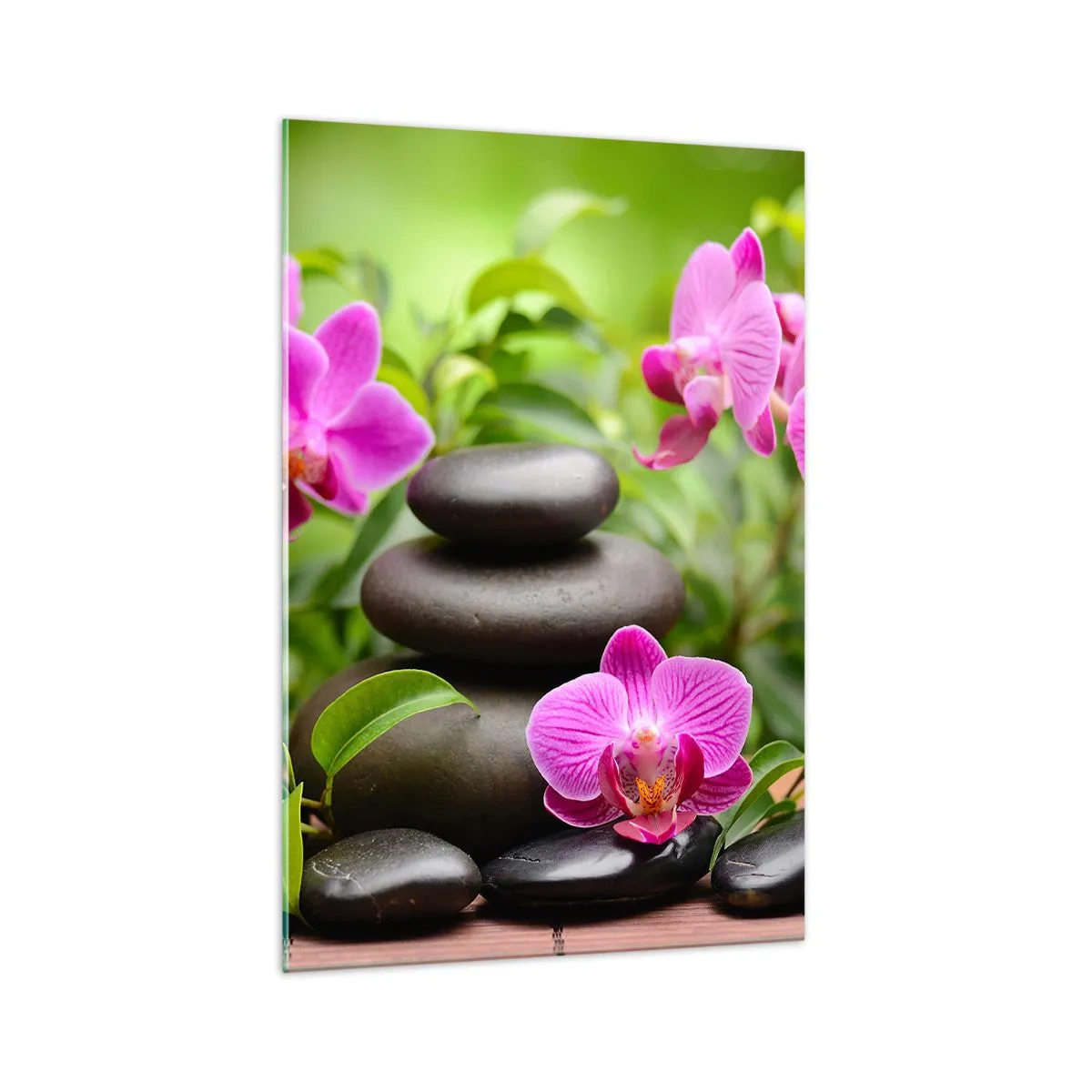Quadro su vetro - Orchidee rosa con pietre su sfondo verde - 70x100cm - Piramide di pace - Decorazione murale moderna per soggiorno e camera da letto ARTTOR