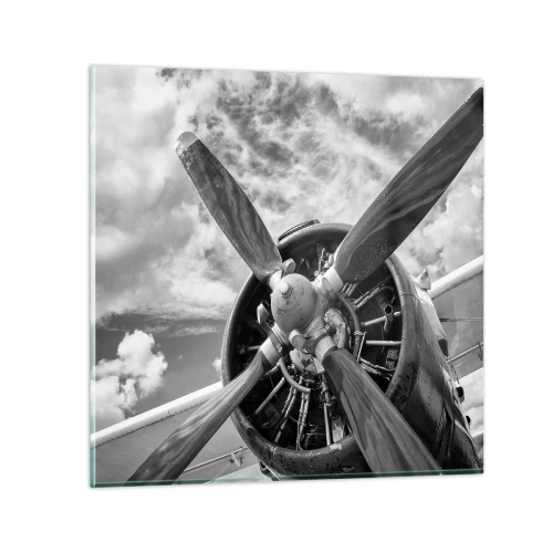 Quadro su vetro - Il dominatore dell'aria - 50x50 cm