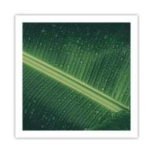 Poster - La struttura del verde - 60x60 cm