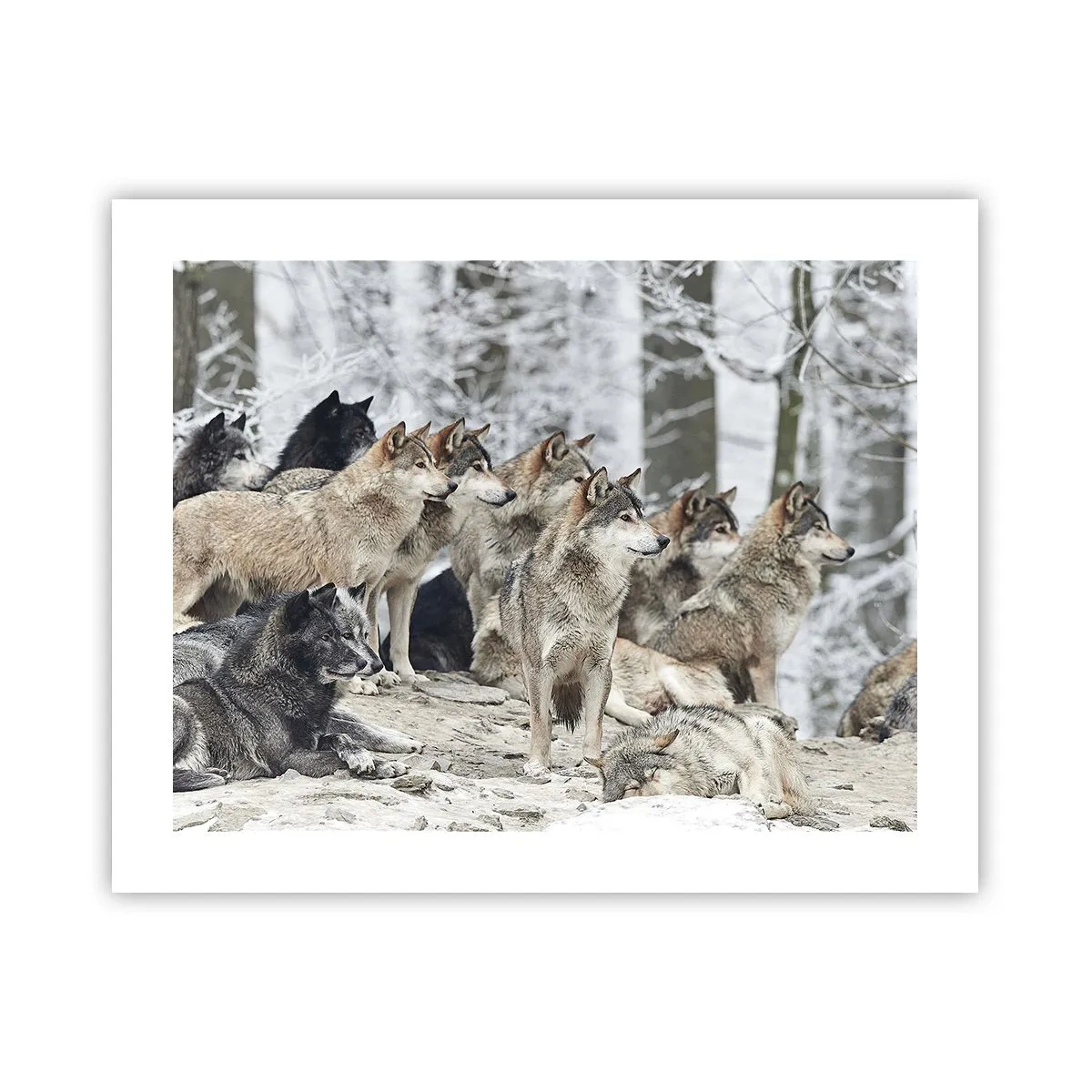 Poster - Famiglia e amici - 50x40 cm