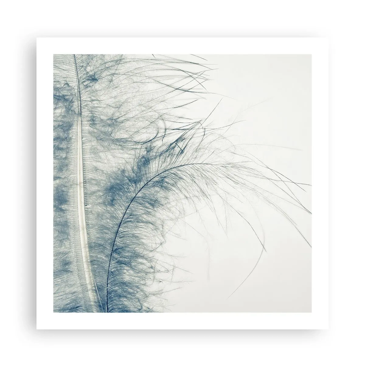 Poster - Il sussurro della natura - 60x60 cm
