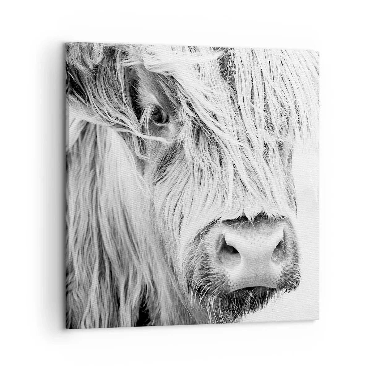 Quadro su tela - Stampe su Tela - Selvaticità scozzese - 50x50 cm