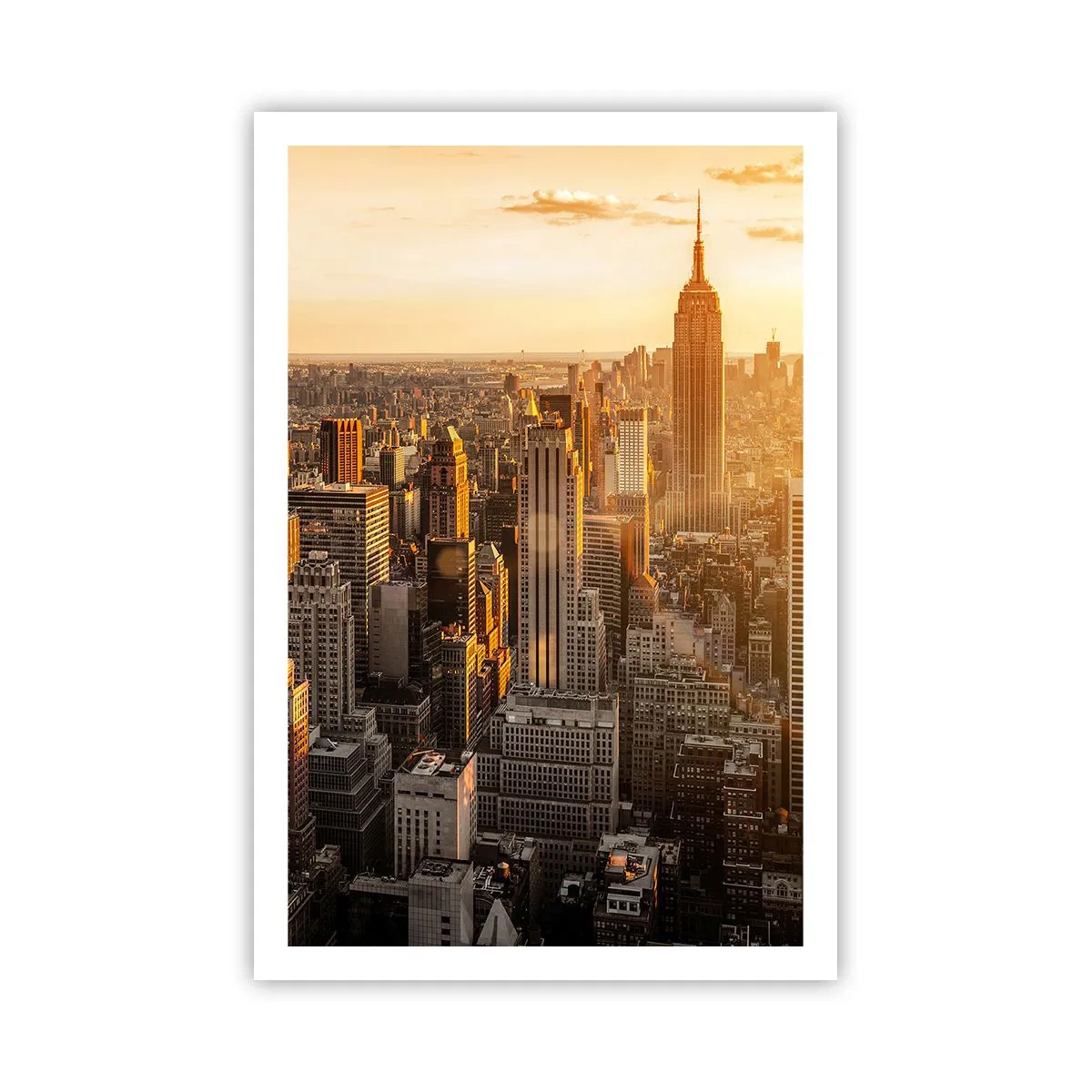 Poster - Crescere al sole - 61x91 cm