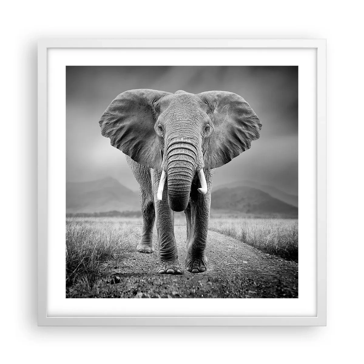 Poster in cornice bianca - Il padrone di casa dà il benvenuto - 50x50 cm