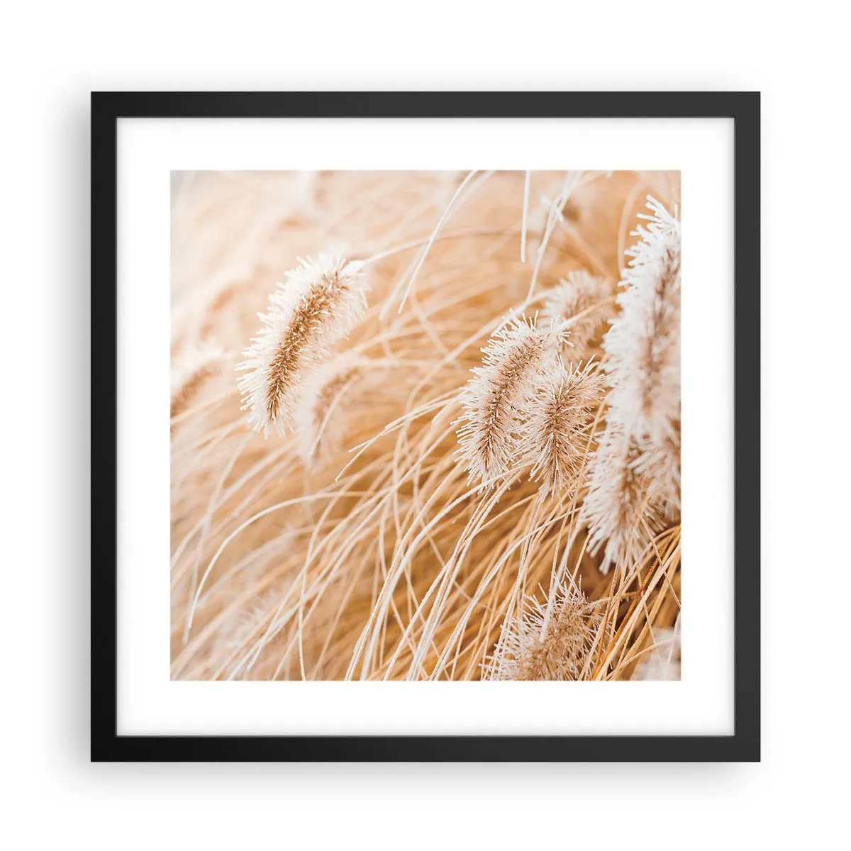 Poster in cornice nera - Il fruscio dorato dell'erba - 40x40 cm