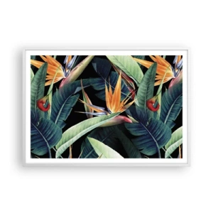 Poster in cornice bianca - I fiori fiammeggianti dei tropici - 100x70 cm