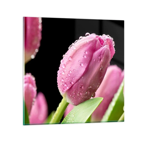 Quadro su vetro - Sogno lilla nella rugiada - 40x40 cm