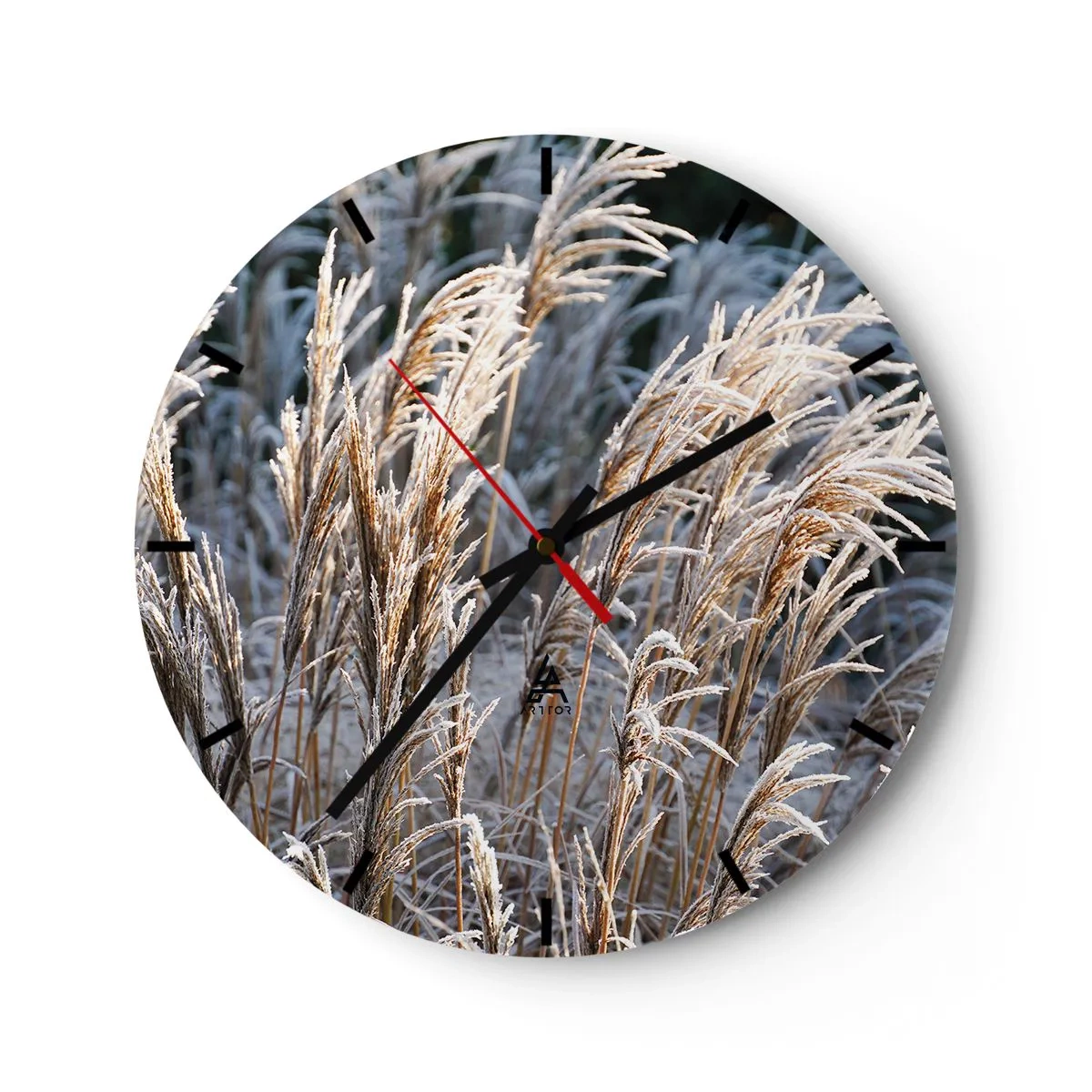 Orologio da parete - Orologio in Vetro - Erbe dorate ricoperte di brina in un paesaggio invernale - 30x30cm - Vestite di brina - Decorazione murale moderna per soggiorno, cucina e camera da letto ARTTOR