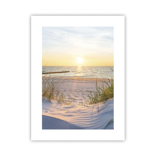 Poster - Rumore del mare, uccelli che cantano, spiaggia selvatica tra i cespugli... - 30x40 cm
