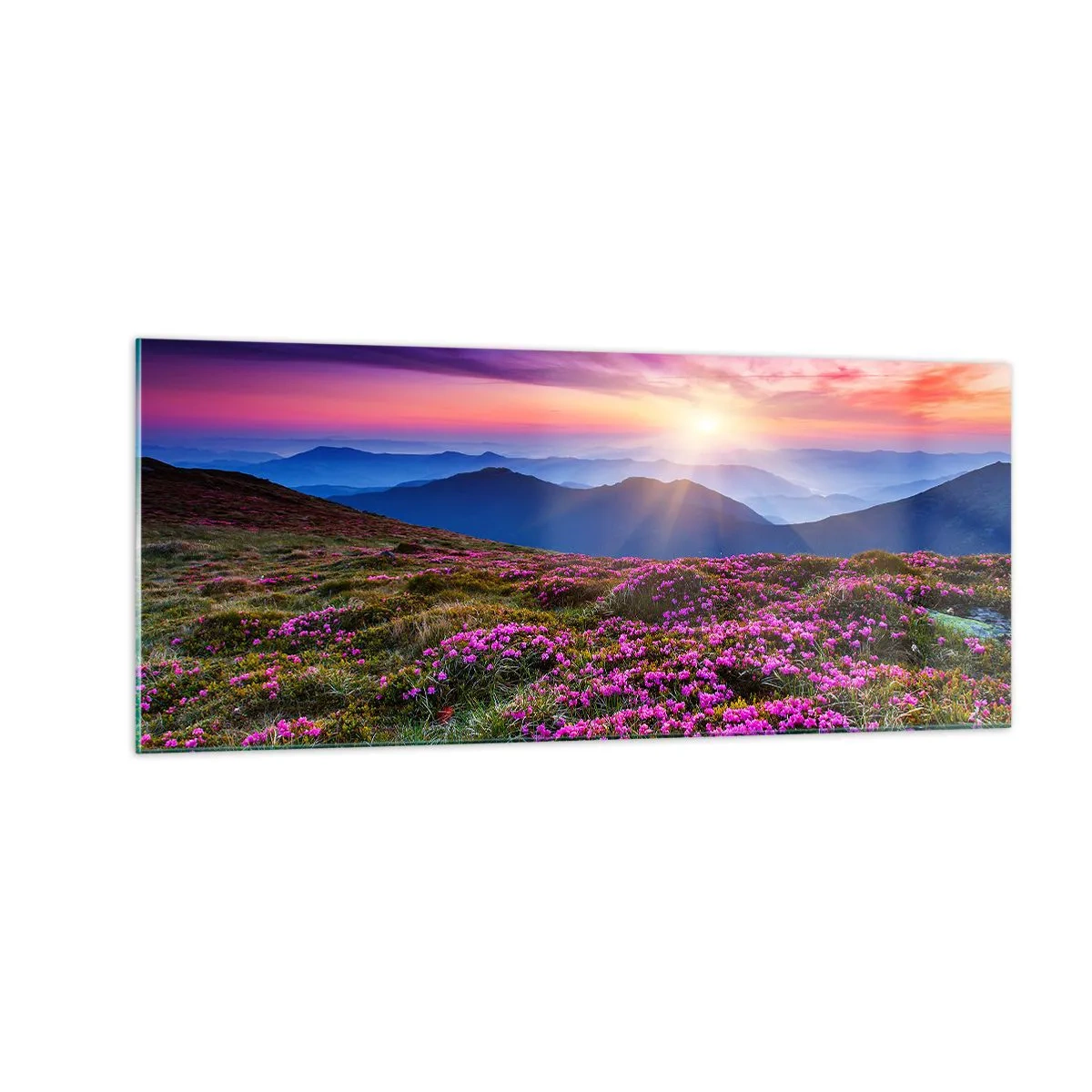 Quadro su vetro - Il profumo dei fiori freschi del campo - 100x40 cm