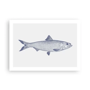 Poster - Un saluto dai mari del nord - 70x50 cm