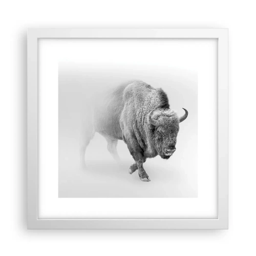 Poster in cornice bianca - Il re della prateria - 30x30 cm