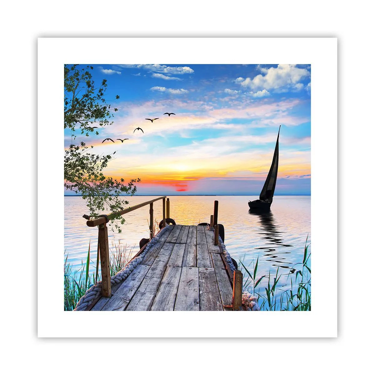 Poster - Buona sera - 40x40 cm
