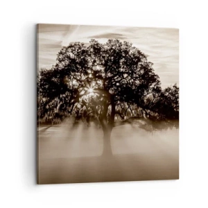 Quadro su tela - Stampe su Tela - L'albero delle sole buone notizie - 60x60 cm