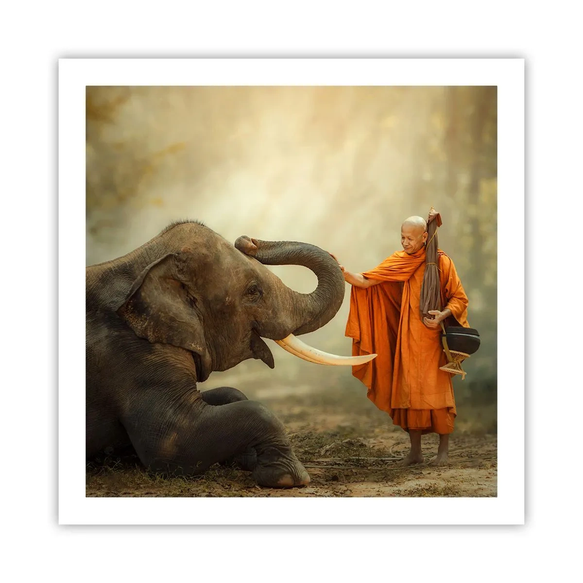 Poster - Incontro nel viaggio - 60x60 cm